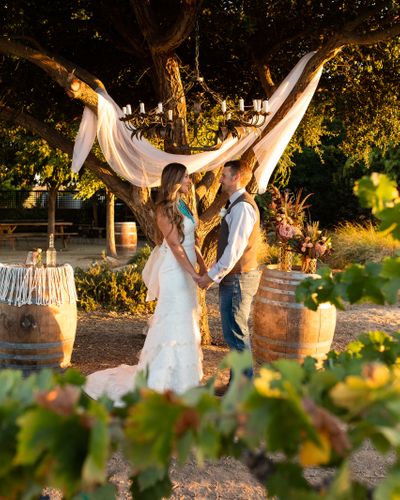 Luxury Winery Brand Earns 35 High-DA Placements via Digital PR