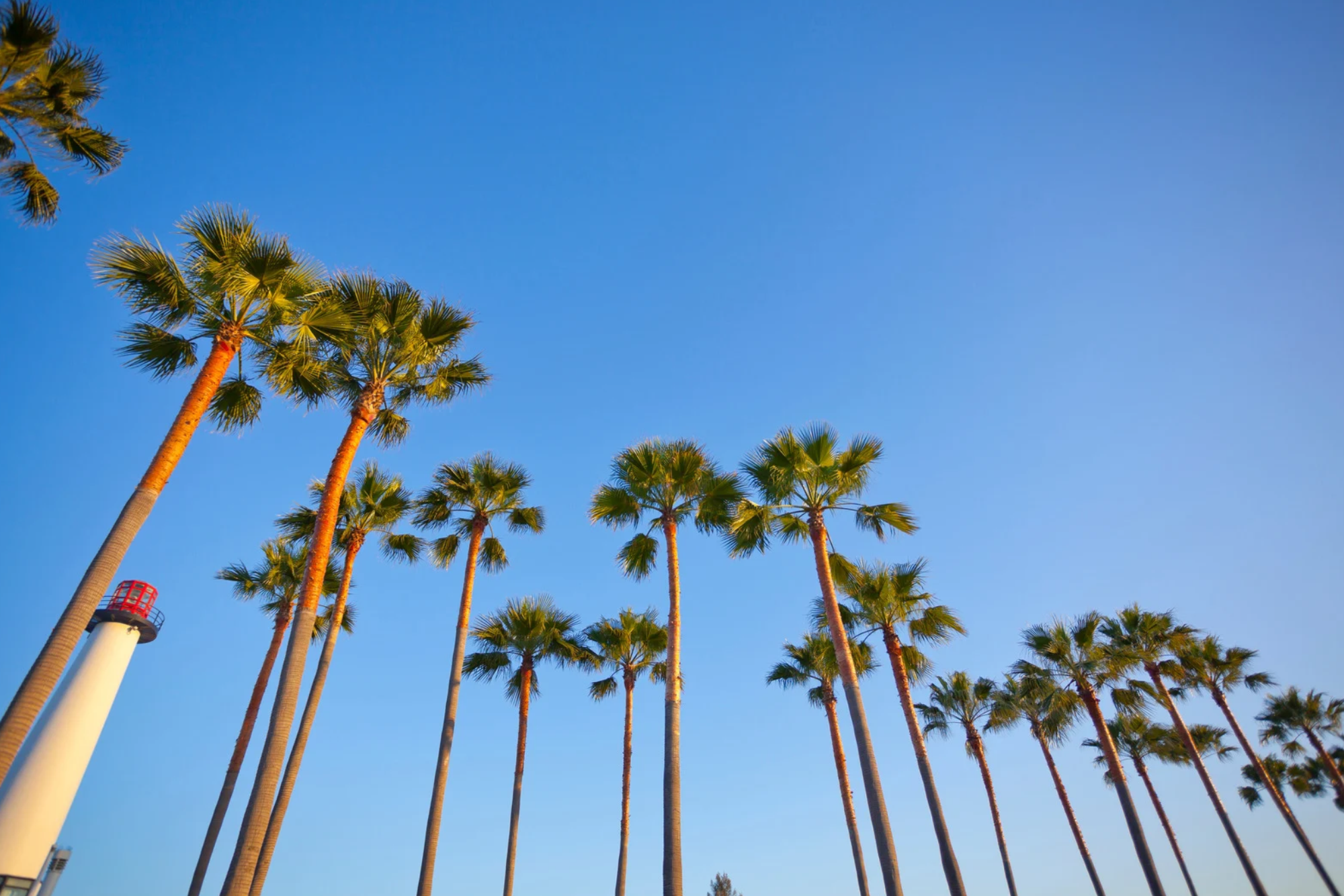 Digital marketing services in Long Beach, CA
