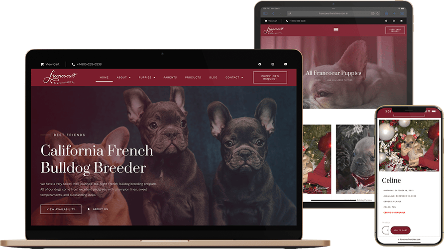 Francoeur French Bulldogs website design by ZatroX Studio.